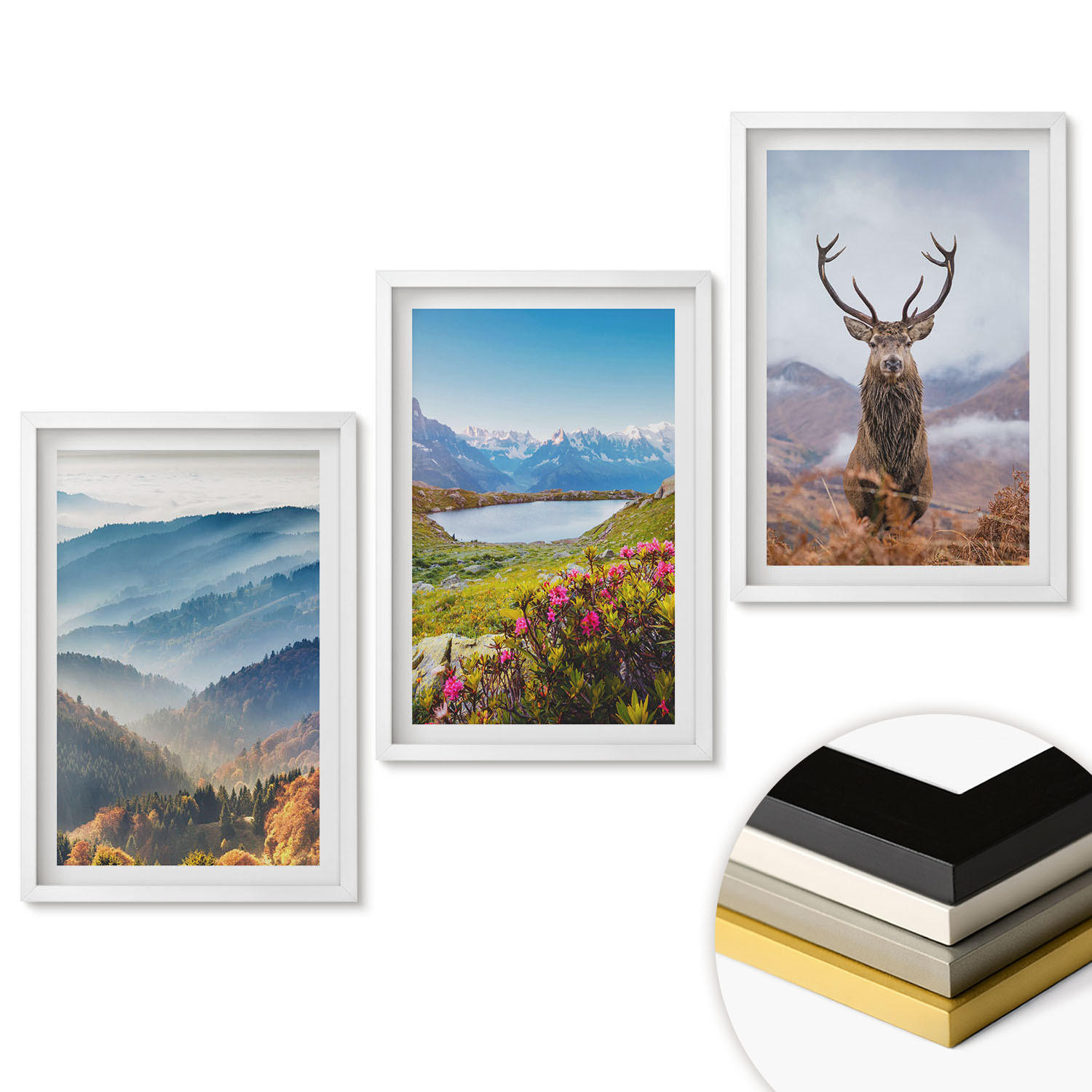 WANDBILDER 3er-Set - 40x60 cm Weißer Rahmen - Natur des Bergseehirsches - Weiß, Kunststoff (40/60cm) - ArtPrintCave