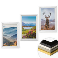 WANDBILDER 3er-Set - 40x60 cm Weißer Rahmen - Natur des Bergseehirsches - Weiß, Kunststoff (40/60cm) - ArtPrintCave