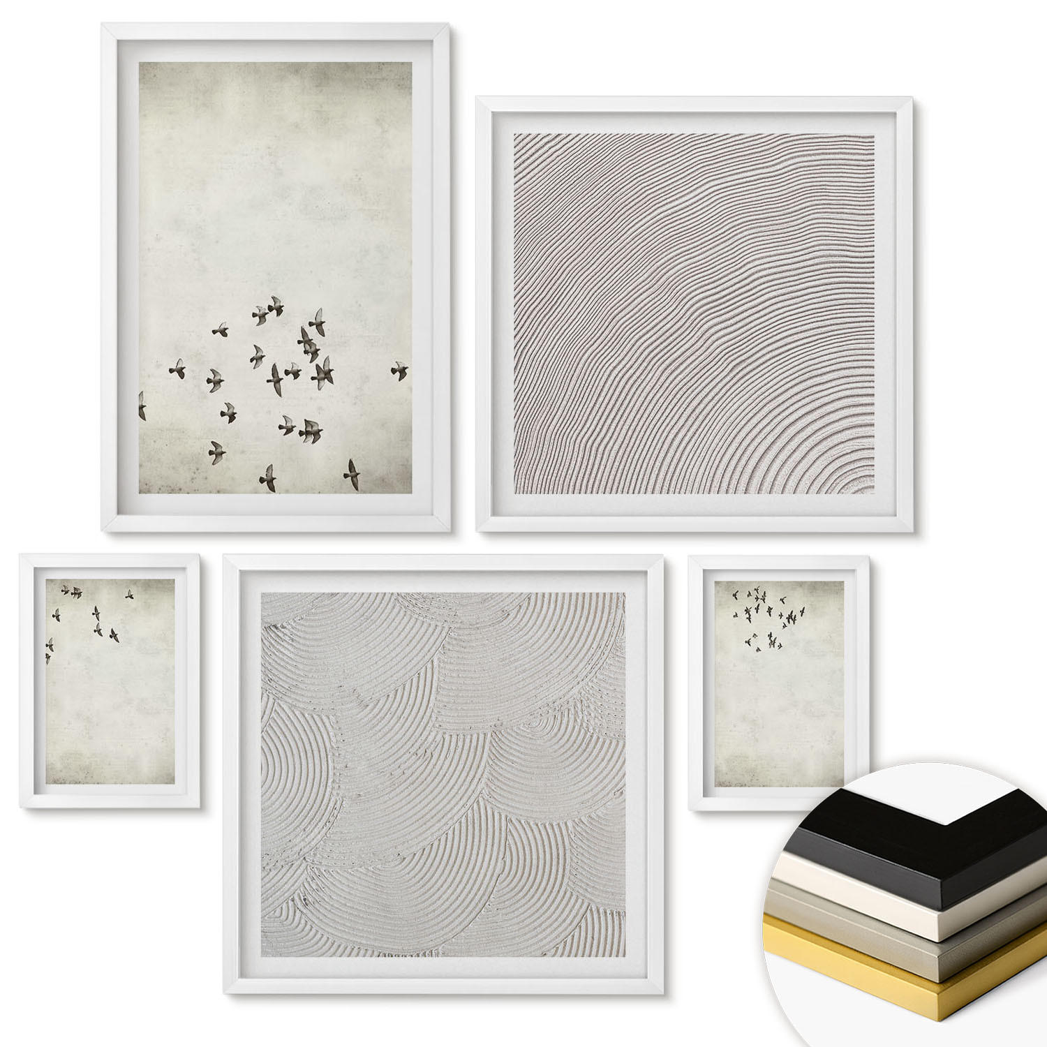 WANDBILDER 5er-Set - 50x50 cm & 20x30 cm & 40x60 cm Weißer Rahmen - Minimalistische Vogelmalerei - Weiß, Kunststoff (40/60cm) - ArtPrintCave