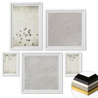 WANDBILDER 5er-Set - 50x50 cm & 20x30 cm & 40x60 cm Weißer Rahmen - Minimalistische Vogelmalerei - Weiß, Kunststoff (40/60cm) - ArtPrintCave