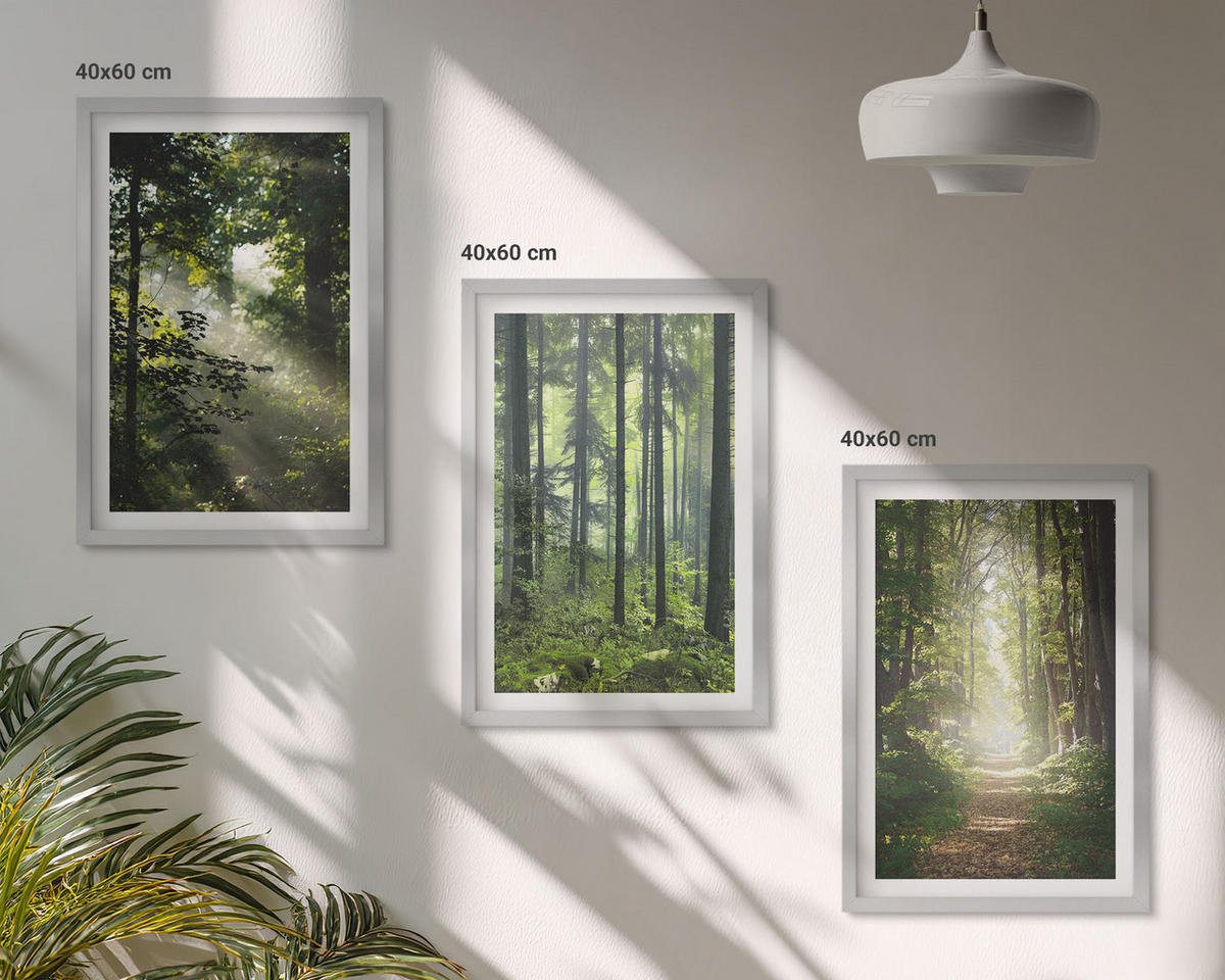 BILDER SET 3er Set - 40x60 cm Silberner Rahmen - Grüne Wälder mit Lichtstrahlen - Silberfarben, Kunststoff (40/60cm) - TULUP