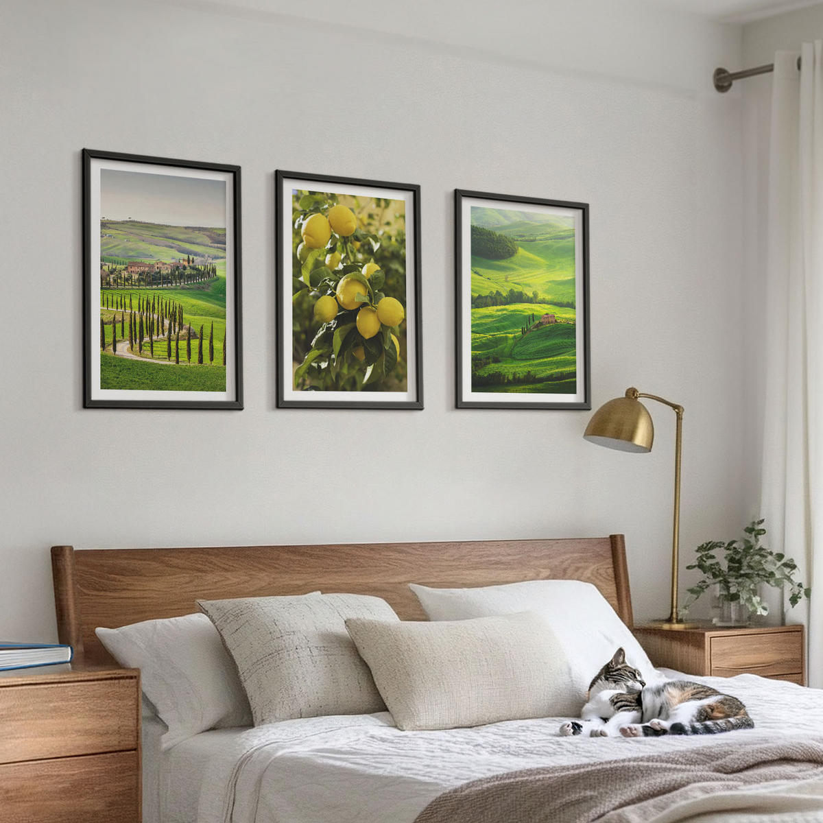 BILDER SET 3er Set - 40x60 cm Schwarzer Rahmen - Italienische Zitrusfrüchte und Hügel - Schwarz, Kunststoff (40/60cm) - TULUP