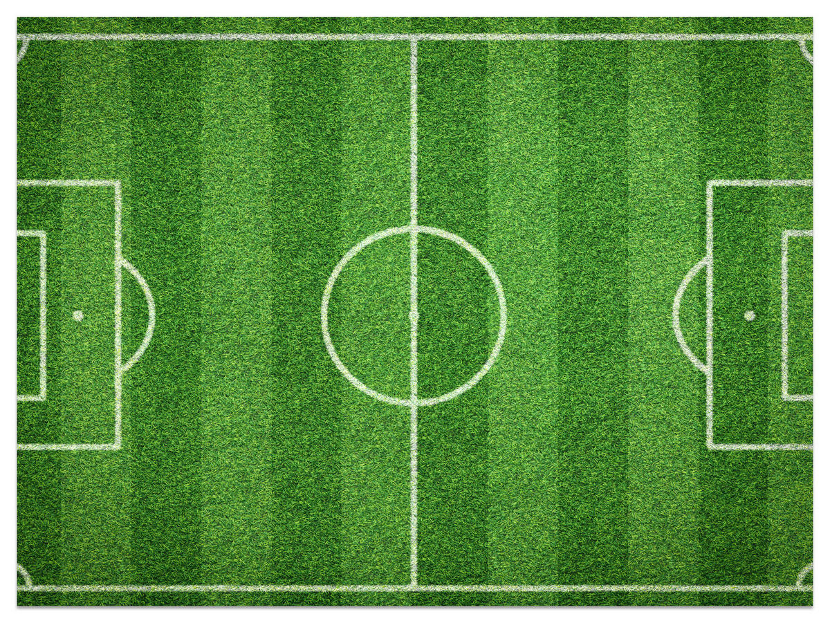 FOTOTAPETA Pre Študentskú Izbu Štadión Vtáčia Perspektíva Trávnik Ihrisko 250 x 175 cm - biela/zelená, papier (250/175cm) - Muralo