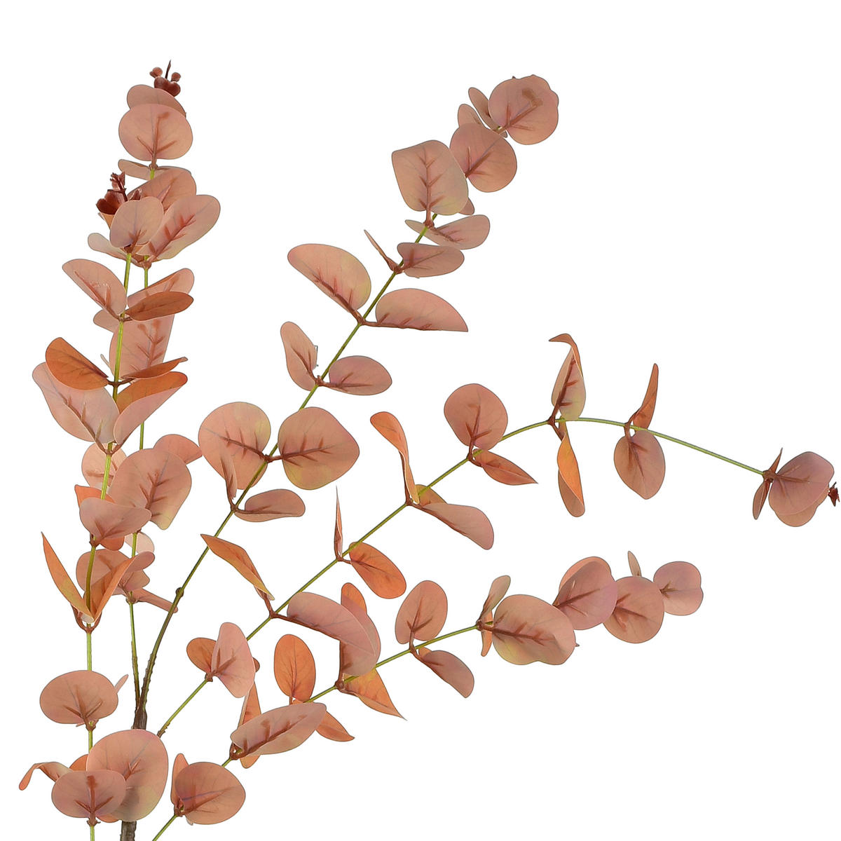 UMĚLÝ EUKALYPTUS Viridis, zelená - pomerančová, plast (92cm) - Mondex