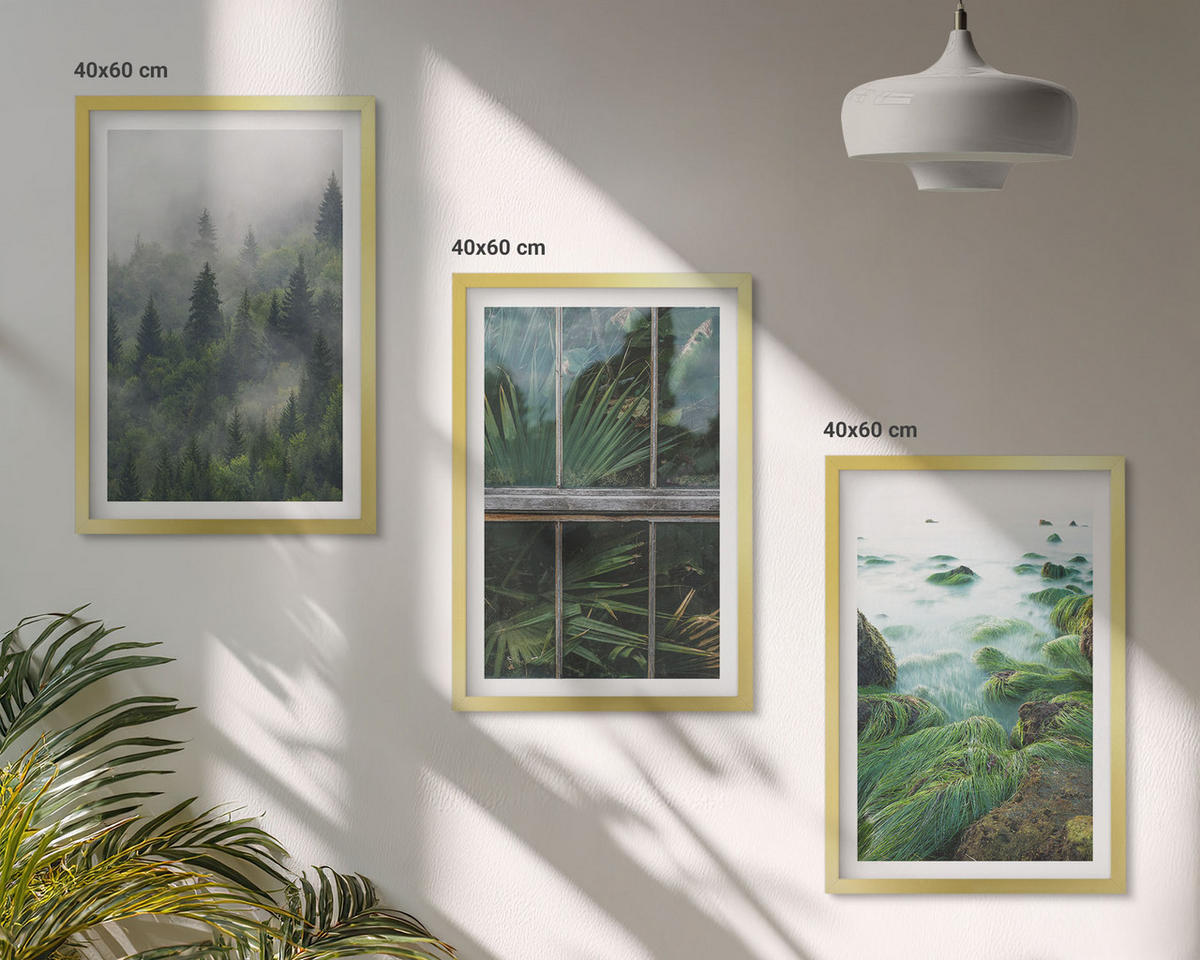 BILDER SET 3er Set - 40x60 cm Goldrahmen - Waldnebel, Flussufer, Gewächshaus - Goldfarben, Kunststoff (40/60cm) - TULUP