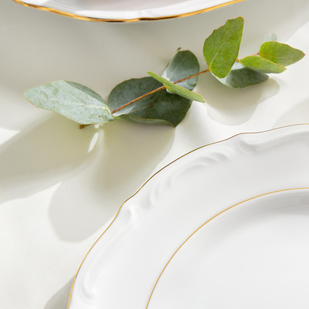 SPEISETELLER Chodziez MARIA TERESA 6-tlg Porzellan mit Goldrand, Weiß / Gold - Goldfarben/Weiß, Keramik (25cm) - KONSIMO®