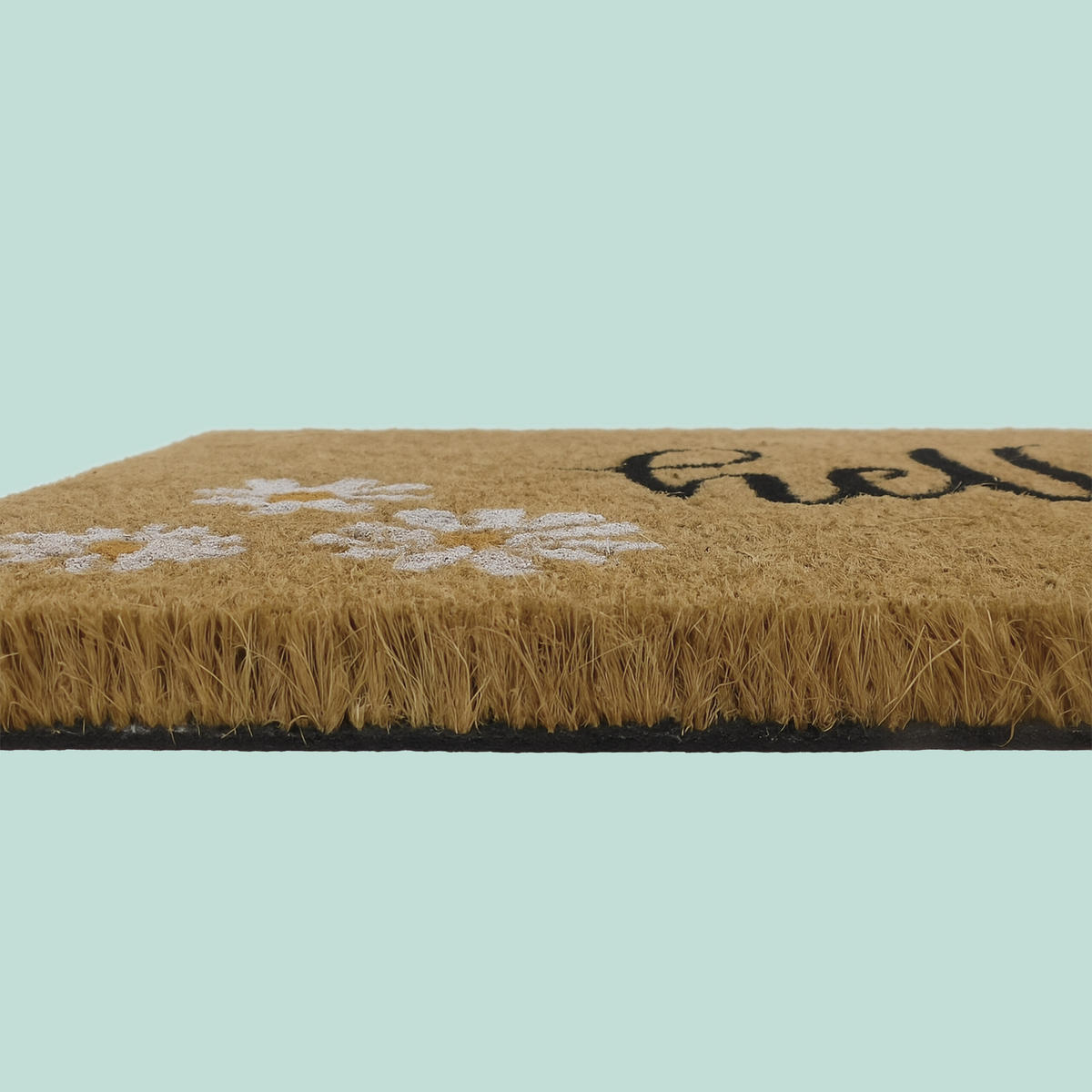 FUSSMATTE - Multicolor, Kunststoff/Textil (60/40cm) - Relaxdays