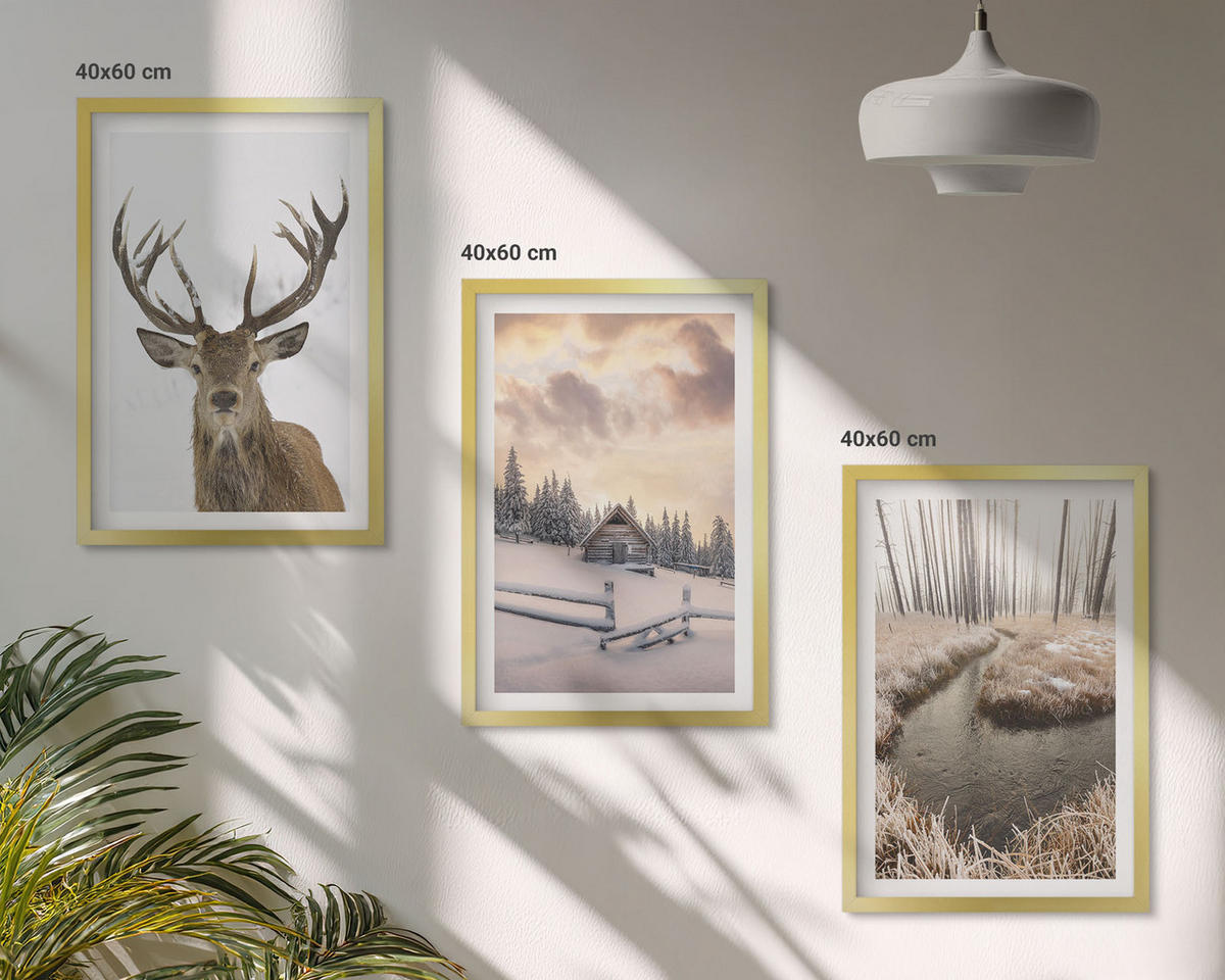 BILDER SET 3er Set - 40x60 cm Goldrahmen - Hirschhütte in Winterlandschaft - Goldfarben, Kunststoff (40/60cm) - TULUP