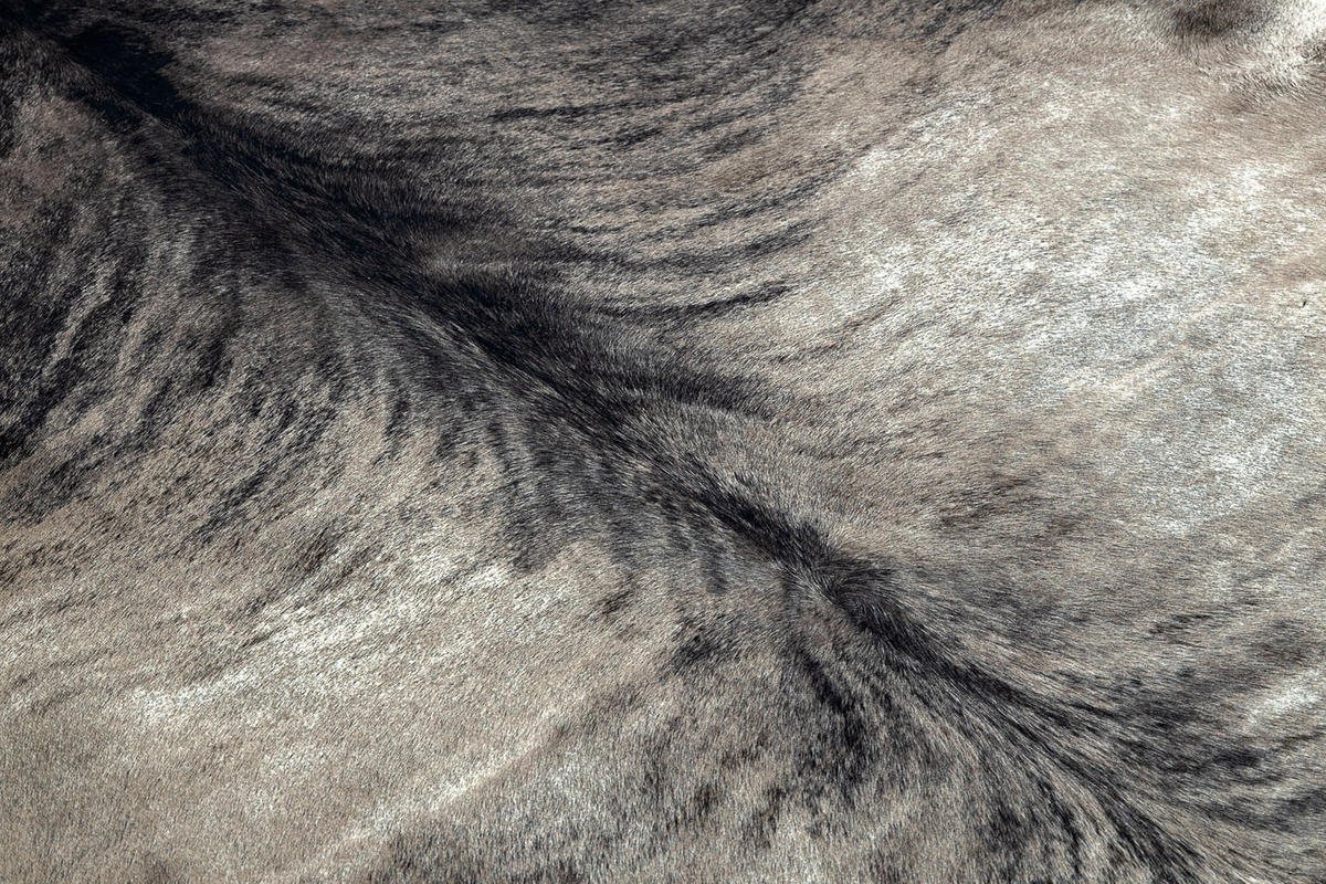 TEPPICH Künstliches Rindsleder 155/195 cm - Grau, Textil (155/195cm) - rugsX
