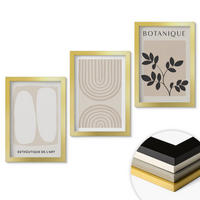 WANDBILDER 3er Set - 20x30 cm Goldrahmen - Boho-Pflanzenposter - Goldfarben, Kunststoff (20/30cm) - ArtPrintCave