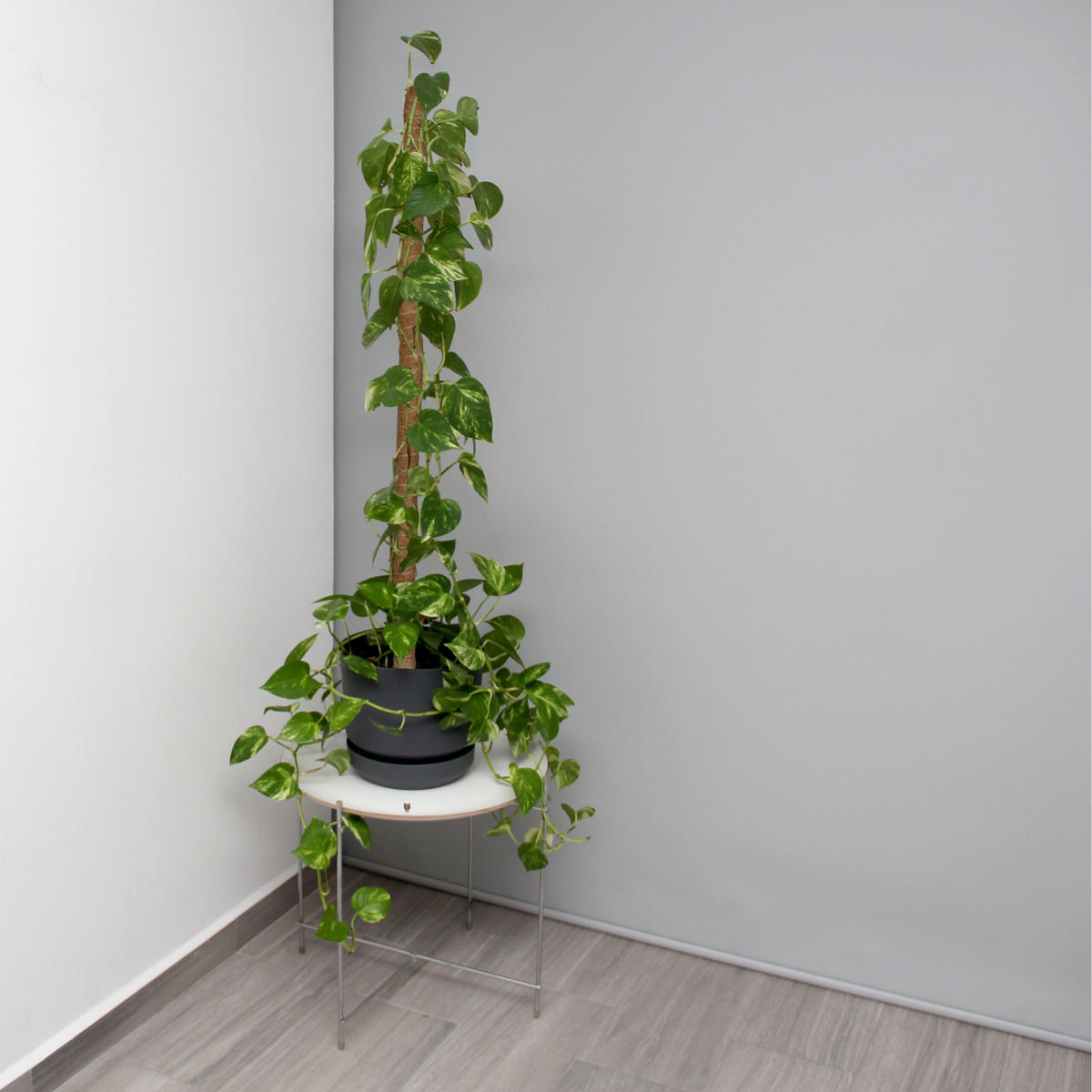 5XKOKOSSTÄBE - Hellbraun, Textil/Metall (3cm) - Relaxdays