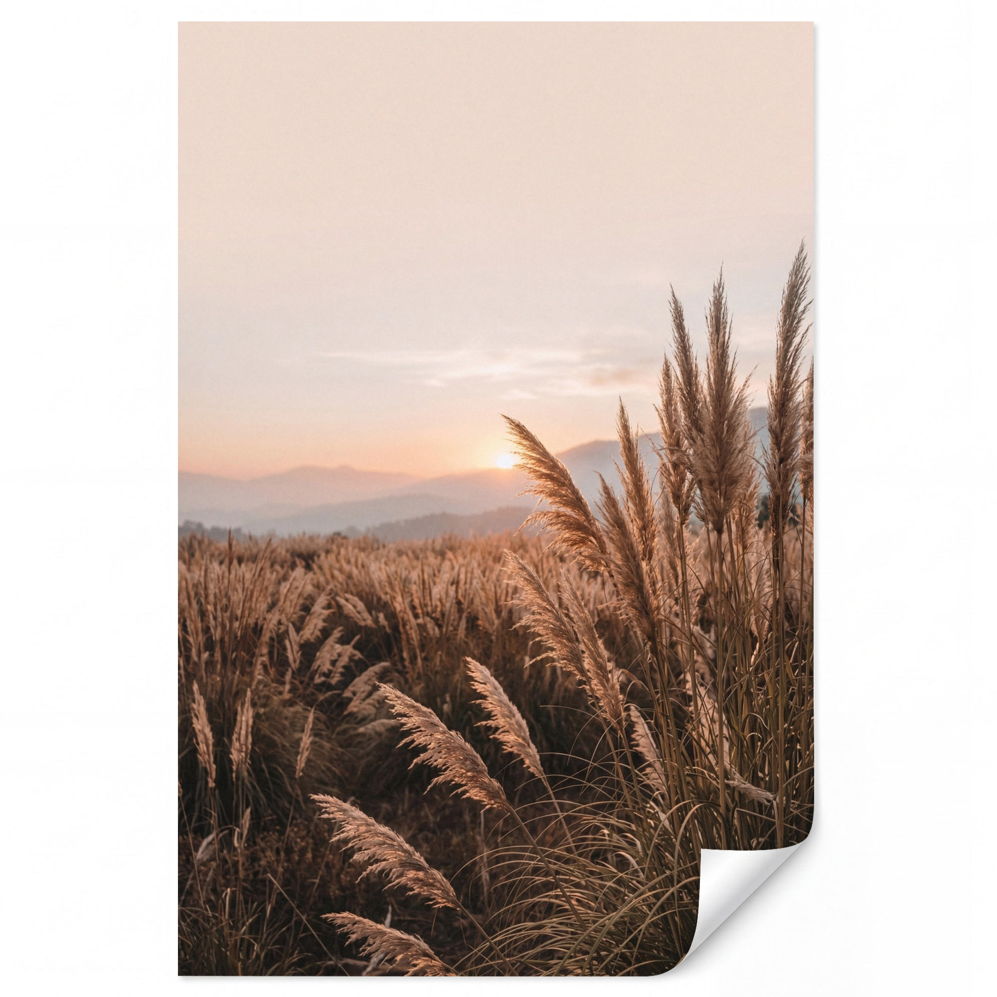 OnlyWow Tapete Sand 200x300 cm