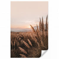 TAPETE - Gras - Feld - Sonne - Natur - 140x200 cm - Sandfarben, Papier (140/200cm) - OnlyWow