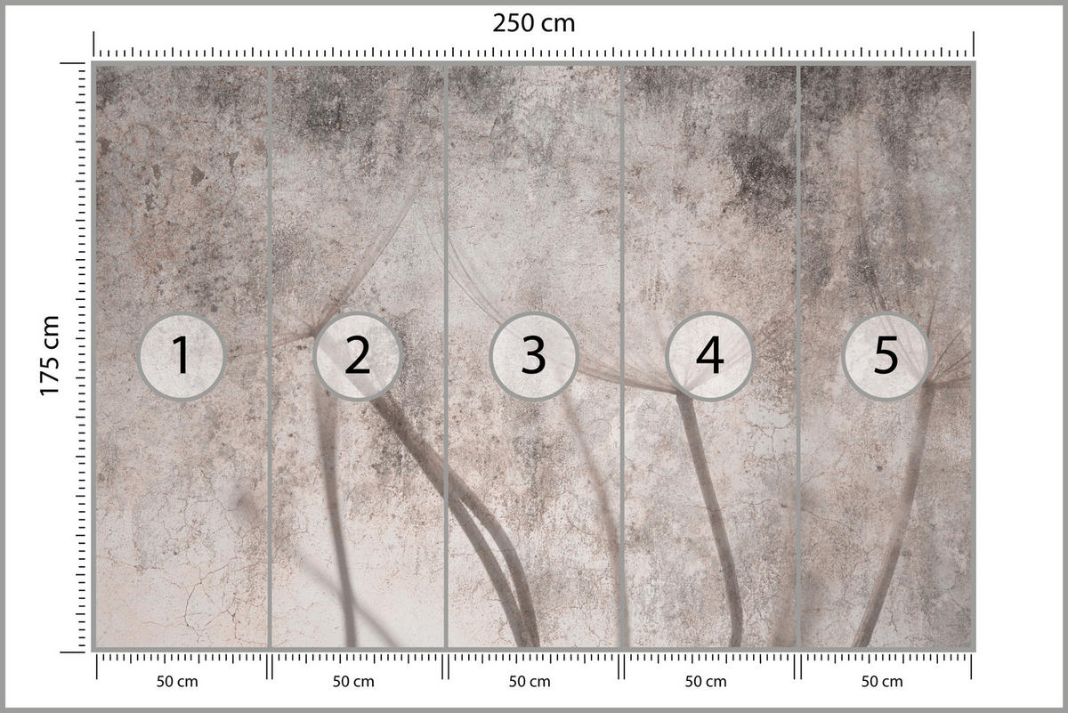 FOTOTAPETE für Schlafzimmer Retro Löwenzahn Beton Beige Minimalistisch 250x175 - Beige/Braun, Papier (250/175cm) - Muralo