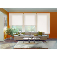 SEITENZUGROLLO lichtdurchlässig Ecofuture (100% Recyceltes Polyester) - Weiß, Textil (90/250/250cm) - VIEWTEX