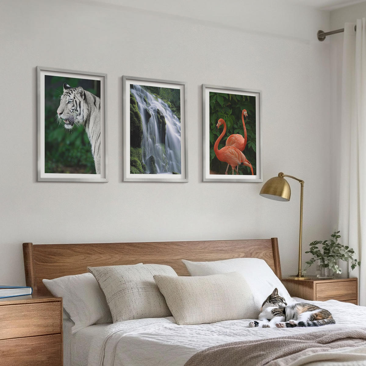 BILDER SET 3er Set - 40x60 cm Silberner Rahmen - Tiger Wasserfall Flamingos Natur - Silberfarben, Kunststoff (40/60cm) - TULUP