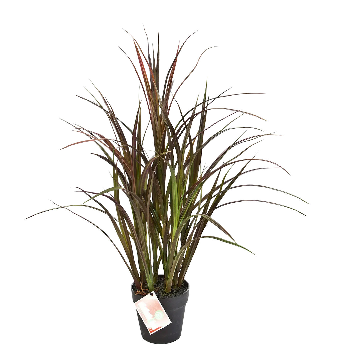 KUNSTPFLANZE Künstliches Grass - Rote Oceane 75 cm - Rot, Kunststoff (75cm) - aplanta