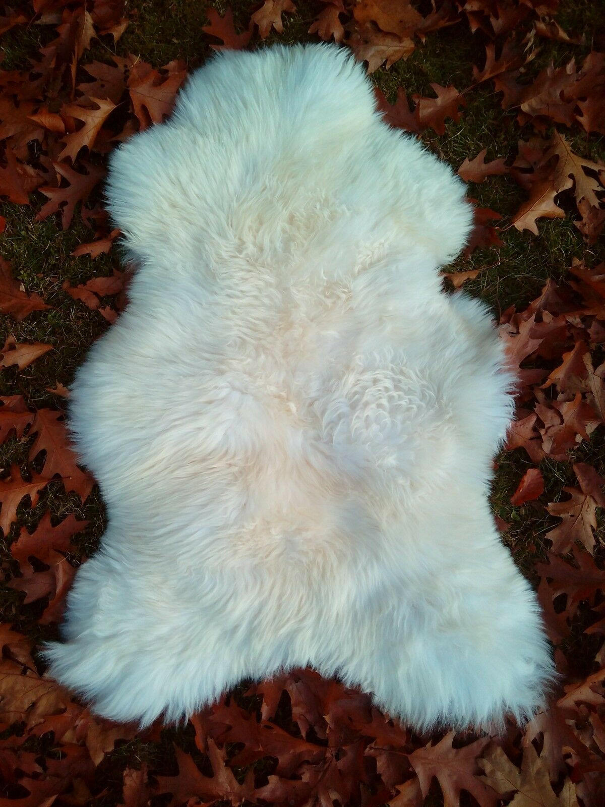 SCHAFFELL Lammfell Naturweiß ca. 90 cm - Weiß, Fell (50/90cm) - Provellus