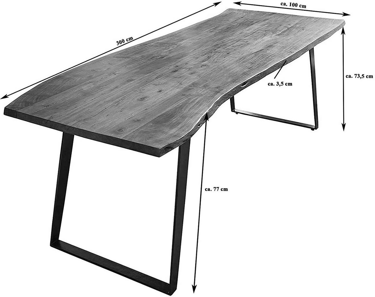 ESSTISCH HOBART - Silberfarben/Braun, Holz/Metall (100/300/77cm) - SAM
