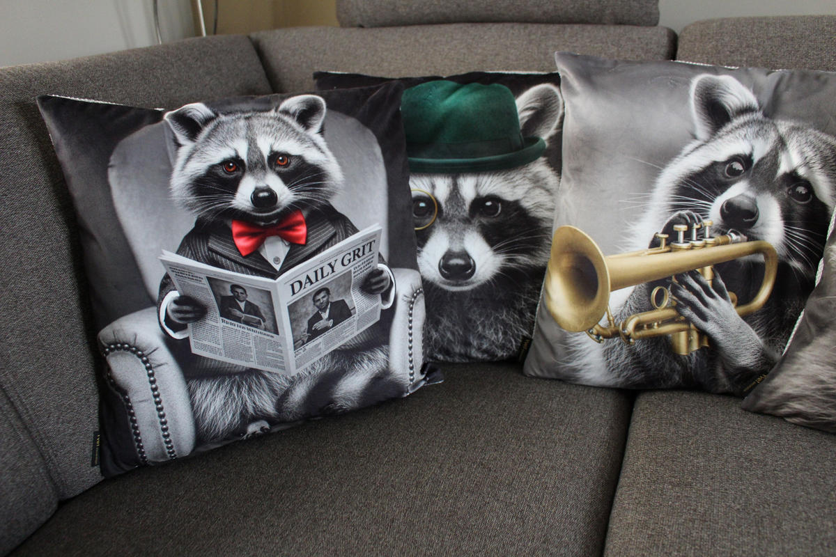 KISSENHÜLLE WASCHBÄR BILL Zeitung - Graubraun, Textil (45/45cm) - Yve! decoration