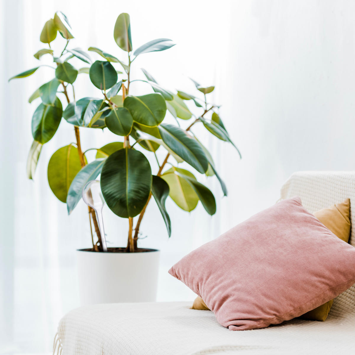 10XBEWÄSSERUNGSKUGEL - Transparent, Kunststoff (8/28/8cm) - Relaxdays