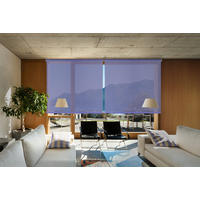 SEITENZUGROLLO Viewtex Screen 10% Öffnungsgrad - Grau, Textil (90/250/250cm) - VIEWTEX