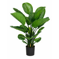 KUNSTPFLANZE Künstliche Calathea – Norelia 80 cm - Grün, Kunststoff (80cm) - aplanta