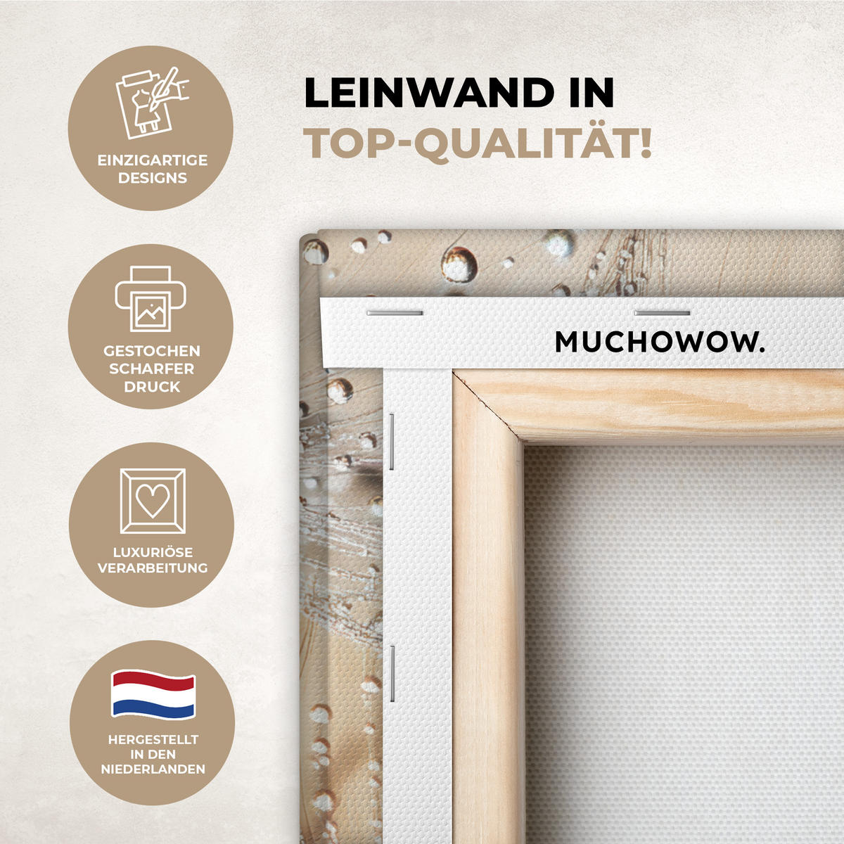 LEINWANDBILD Löwenzahn - Abstrakt - Natur - Beige 20x20 cm - Braun, Textil (20/20cm) - MuchoWow