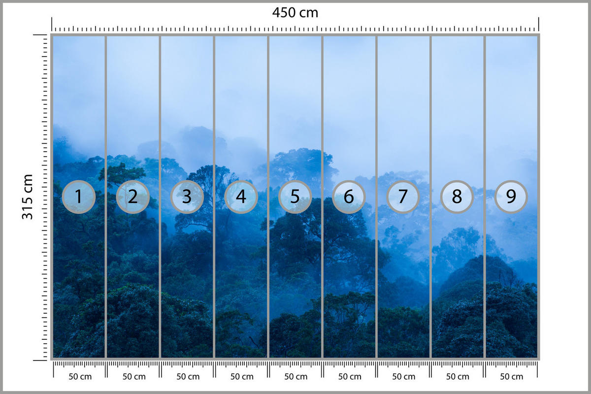FOTOTAPETE für Wohnzimmer Tropischer Laubwald Nebel Dschungel 450x315 - Schwarz, Papier (450/315cm) - Muralo