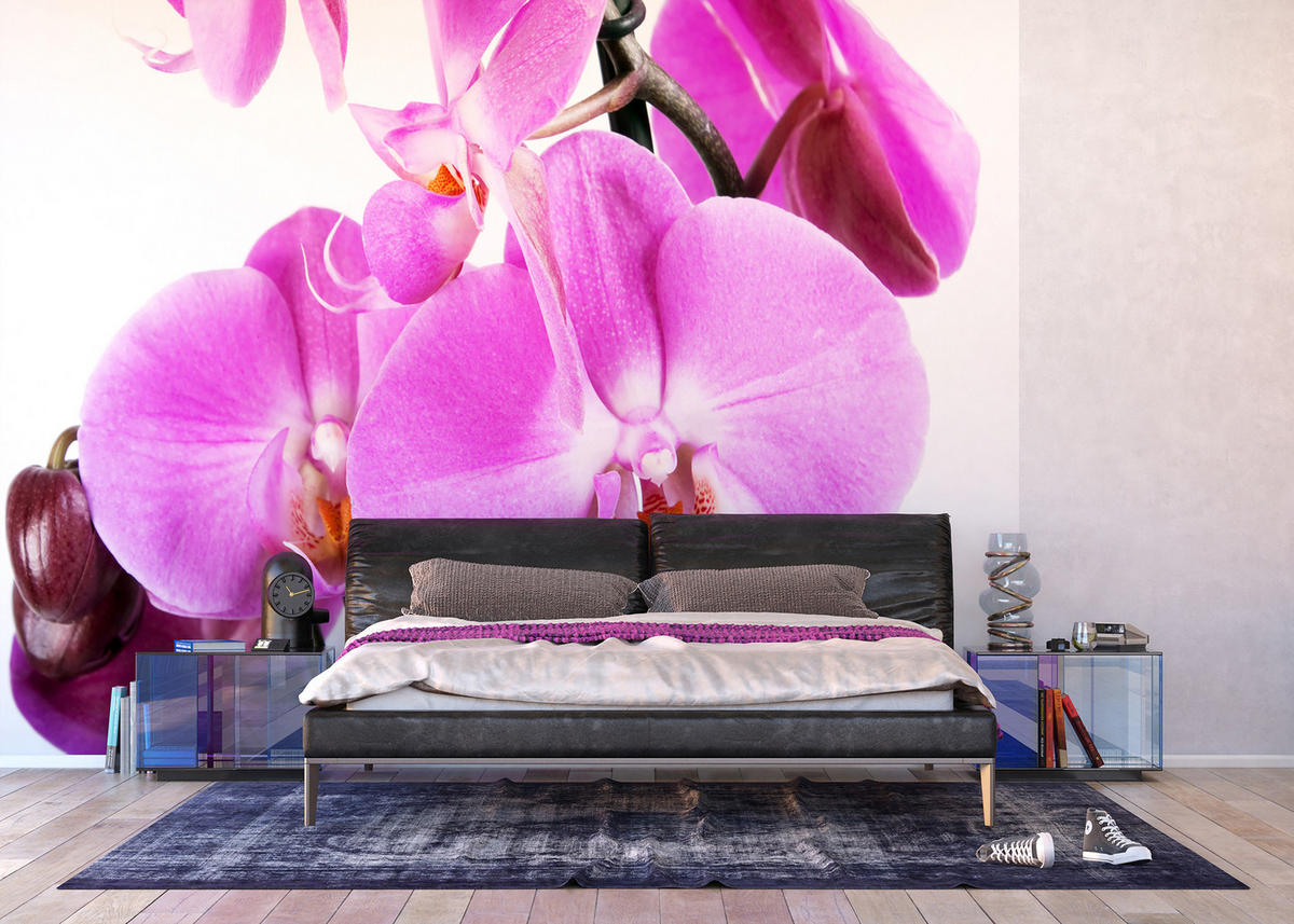 FOTOTAPETE Blumen 360 x 254 cm - Pink, Papier (360/254cm) - Sanders & Sanders