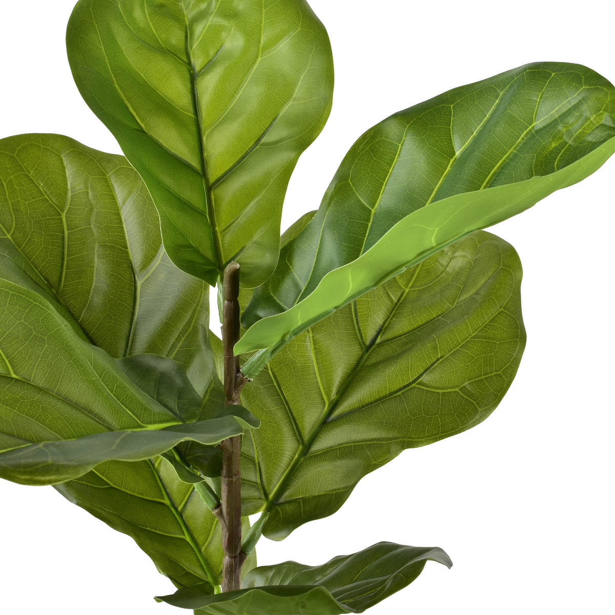 KUNSTBLUME Viridis Grün 13x13x56 cm Kunststoff - Grün, Kunststoff (56cm) - Mondex