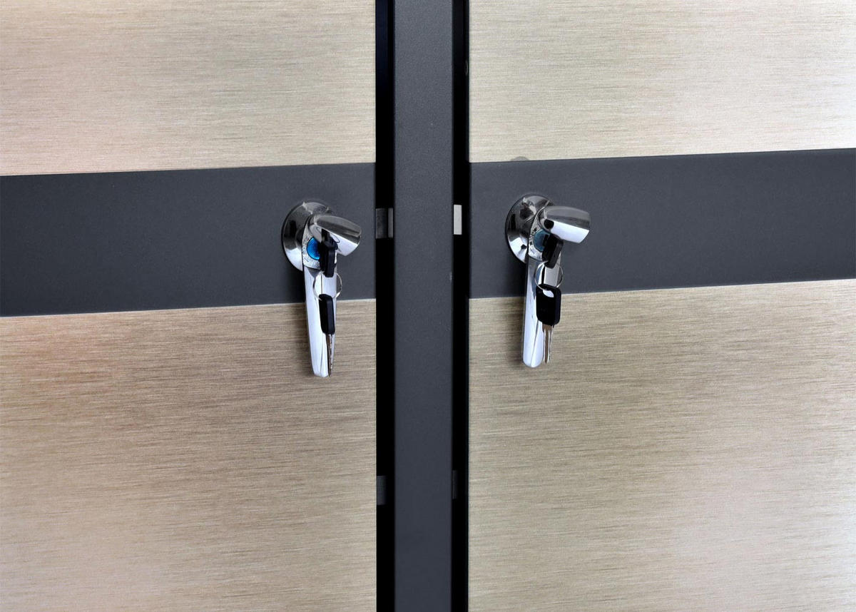 MÜLLTONNENBOX 4er 117x264x80cm Anthrazit Gold - Goldfarben, Metall (264/117/80cm) - PROREGAL