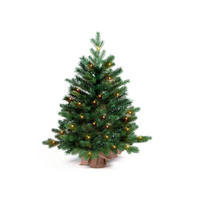 WEIHNACHTSBAUM künstlich e grüne Tanne Bernard im Topf 60 cm mit LED-Beleuchtung - Grün, Kunststoff (60cm) - LAALU