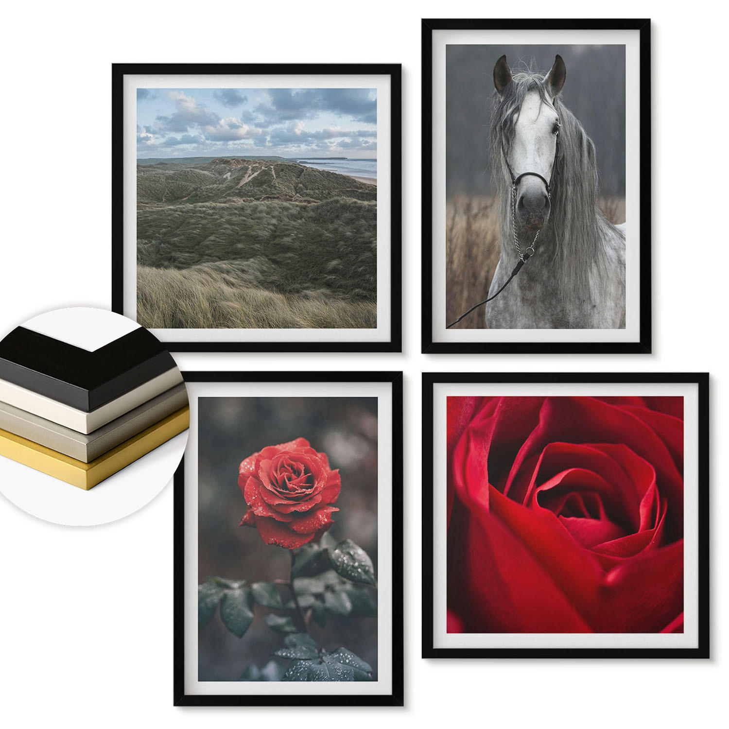 ArtPrintCave Wandbilder Schwarz 50x50 cm