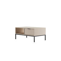 COUCHTISCH Austin_100 60/45/100 - Kaschmir/Schwarz, Holzwerkstoff (100/60/45cm) - RAUMHIRSCH FURNITURE