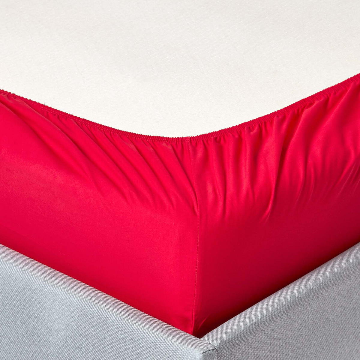 PERKAL-SPANNBETTLAKEN, Ägyptische Baumwolle, Fadendichte 200 - Rot, Textil (100/200cm) - Homescapes
