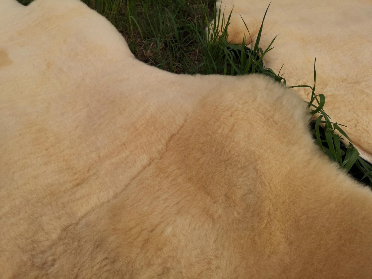 LAMMFELL medizinisch Relugan Baby Schaffell Öko ca. 75 cm - Gelb, Fell (45/75cm) - Provellus
