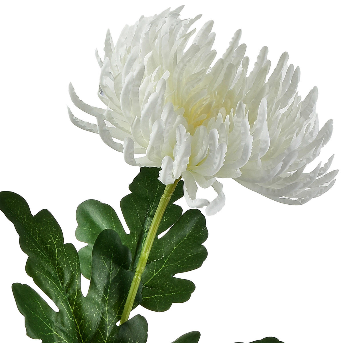 UMĚLÁ CHRYZANTÉMA, plast - bílá, plast (72cm) - Mondex