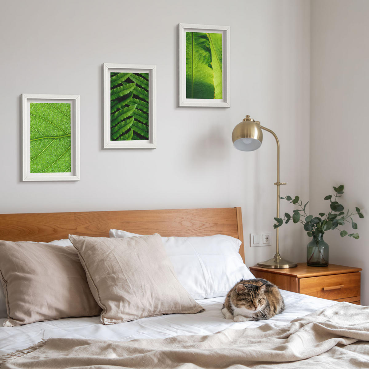 BILDER SET 3er Set - 20x30 cm Weißer Rahmen - Makrofotografie von tropischen Blättern - Weiß, Kunststoff (20/30cm) - TULUP