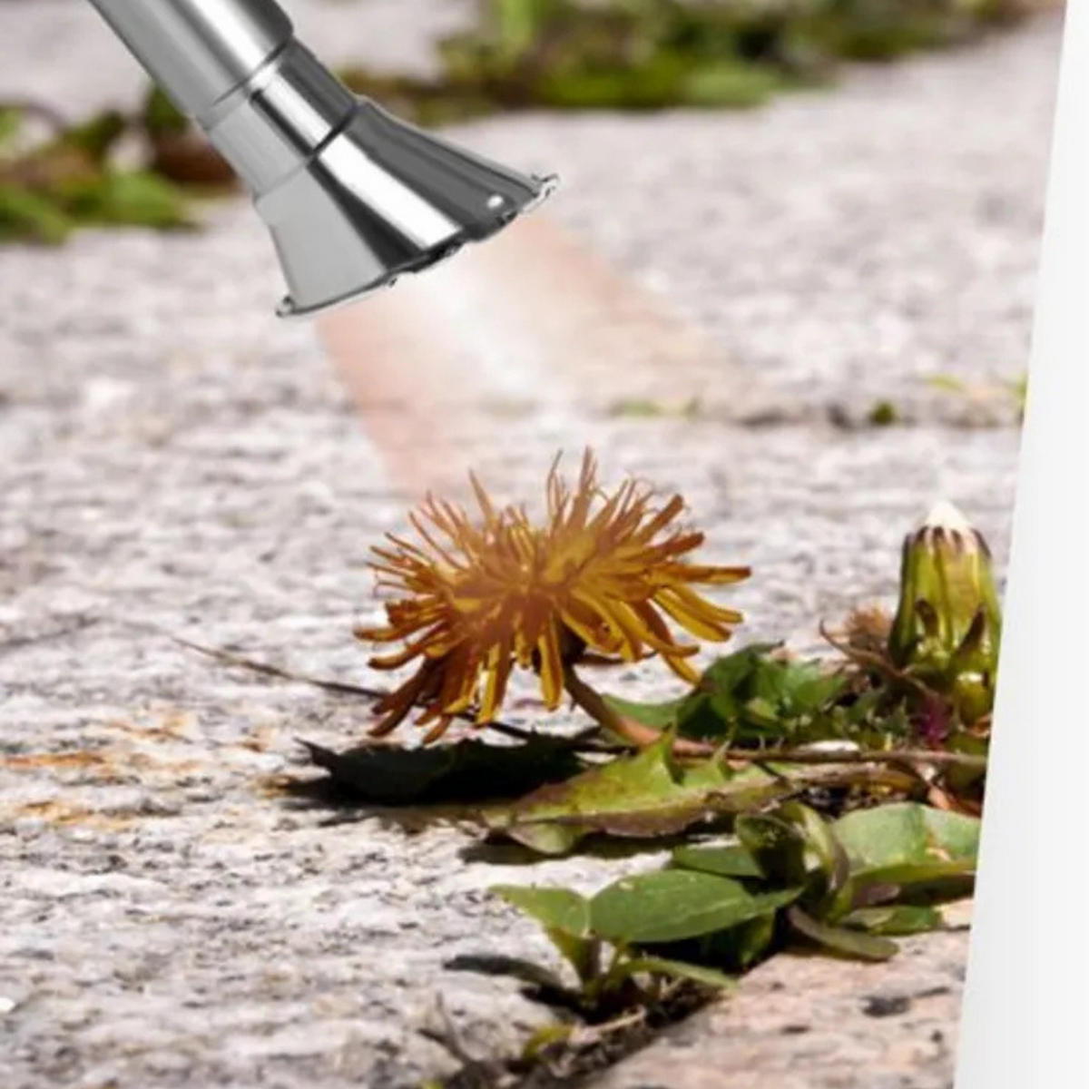 ELEKTRISCHER UNKRAUTBRENNER 2000W Grün Metall Kunststoff - Grün, Kunststoff/Metall (7.5/17/98cm) - Kinzo