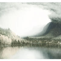FOTOTAPETE Seeblick 300 x 280 cm - Grün, Papier (300/280cm) - Sanders & Sanders