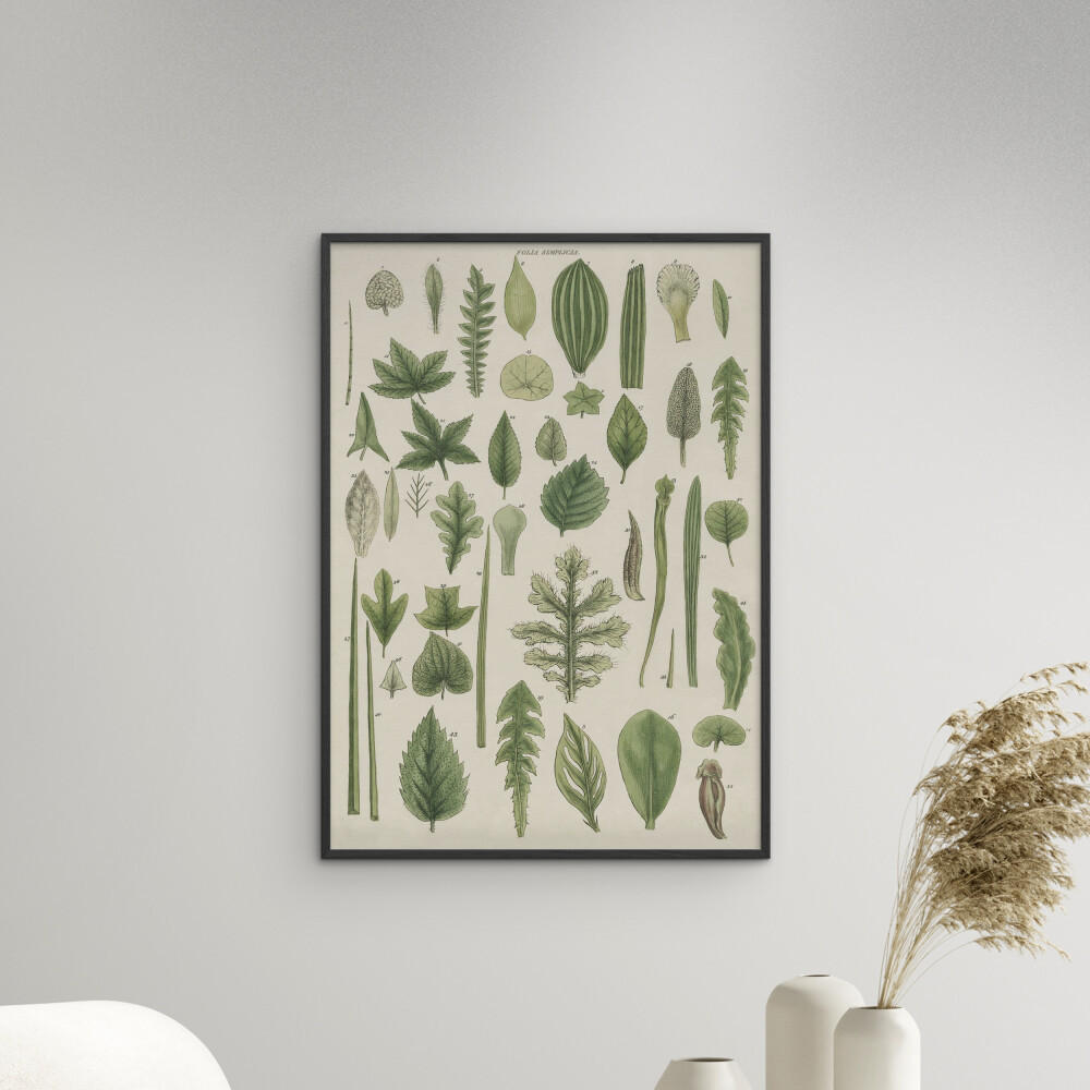 POSTER mit Rahmen Wild Apple - Assortment of Leaves II - Schwarz/Grün, Holz/Papier (50/70cm) - Poster&Frame