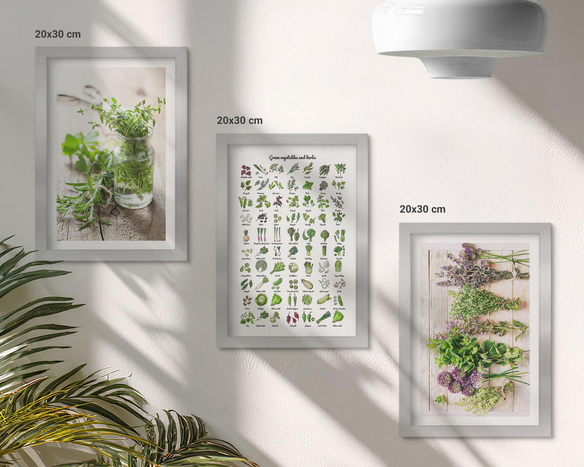 WANDBILDER 3er Set - 20x30 cm Silberner Rahmen - Getrocknete Kräuter für die Küche - Silberfarben, Kunststoff (20/30cm) - ArtPrintCave