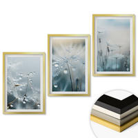 WANDBILDER 3er Set - 40x60 cm Goldrahmen - Tautropfen auf Löwenzahn - Goldfarben, Kunststoff (40/60cm) - ArtPrintCave
