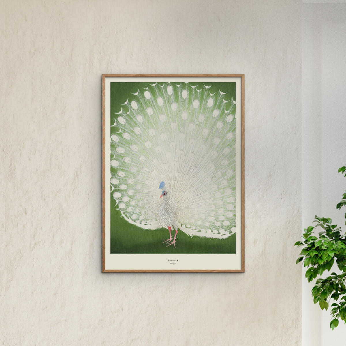 POSTER A.P. Atelier - Peacock - Grün, Papier (50/70/0.1cm) - Poster&Frame