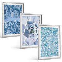 BILDER SET 3er Set - 40x60 cm Silberner Rahmen - Winterwald blaue Blume Wasser - Silberfarben, Kunststoff (40/60cm) - TULUP