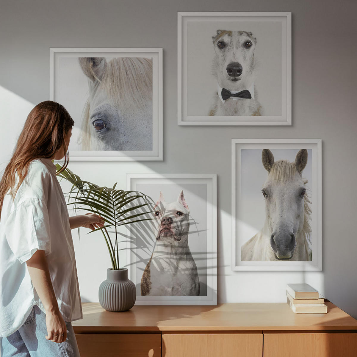 WANDBILDER 4er-Set - 50x50 cm & 40x60 cm Weißer Rahmen - Elegante Porträts von Hunden und Pferden - Weiß, Kunststoff (50/50cm) - ArtPrintCave