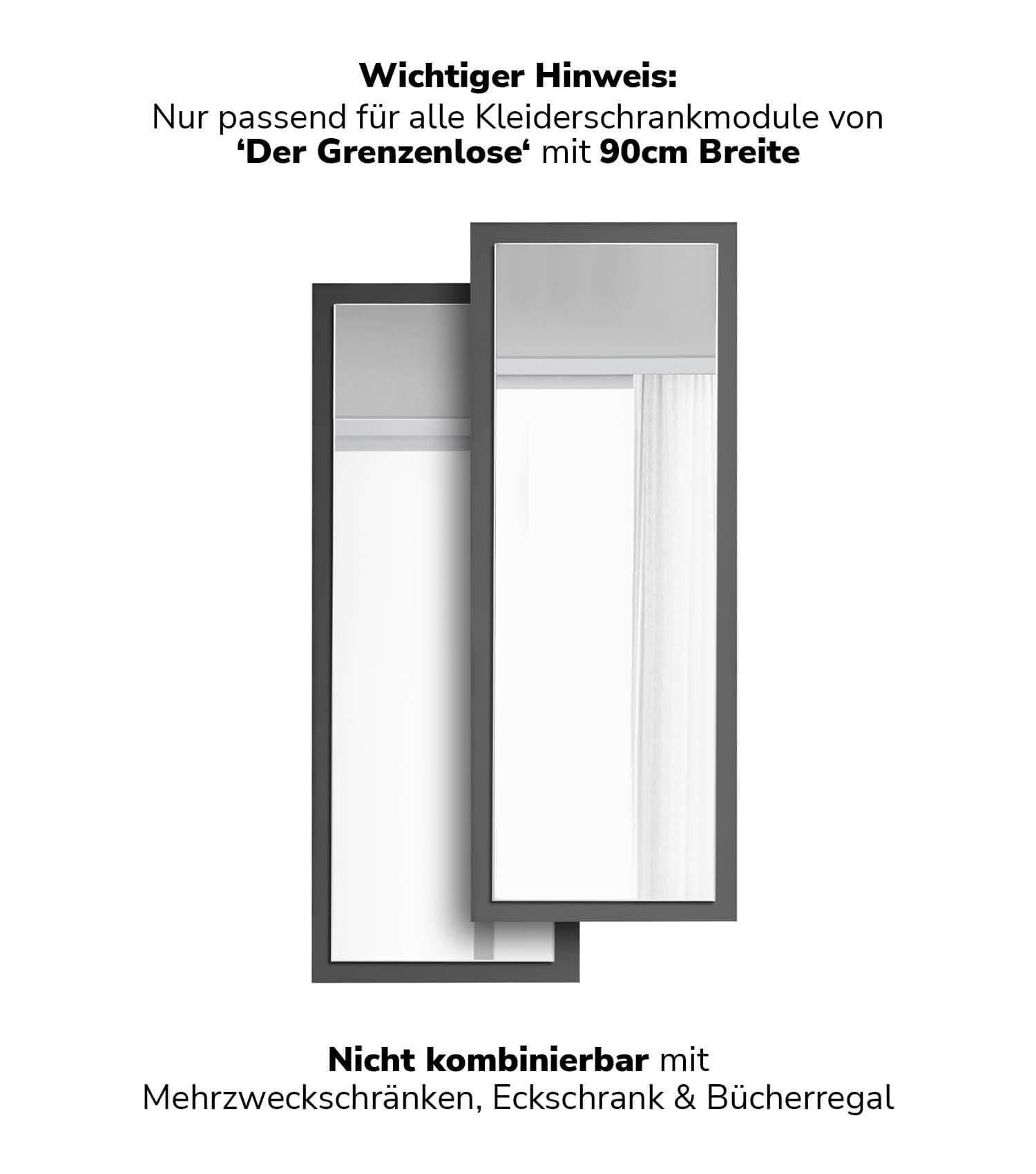 SCHRANKTÜR mit Spiegel Die Verspiegelte - Anthrazit, Holzwerkstoff (43/112/1.5cm) - Mokebo