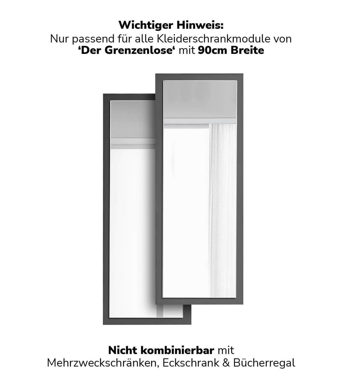 SCHRANKTÜR mit Spiegel Die Verspiegelte - Anthrazit, Holzwerkstoff (43/112/1.5cm) - Mokebo