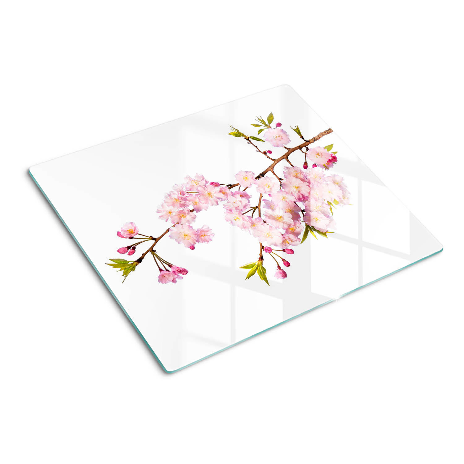 GLASPLATTE 60x52 cm Dornbusch - Pink, Glas (60/0.4/52cm) - TULUP